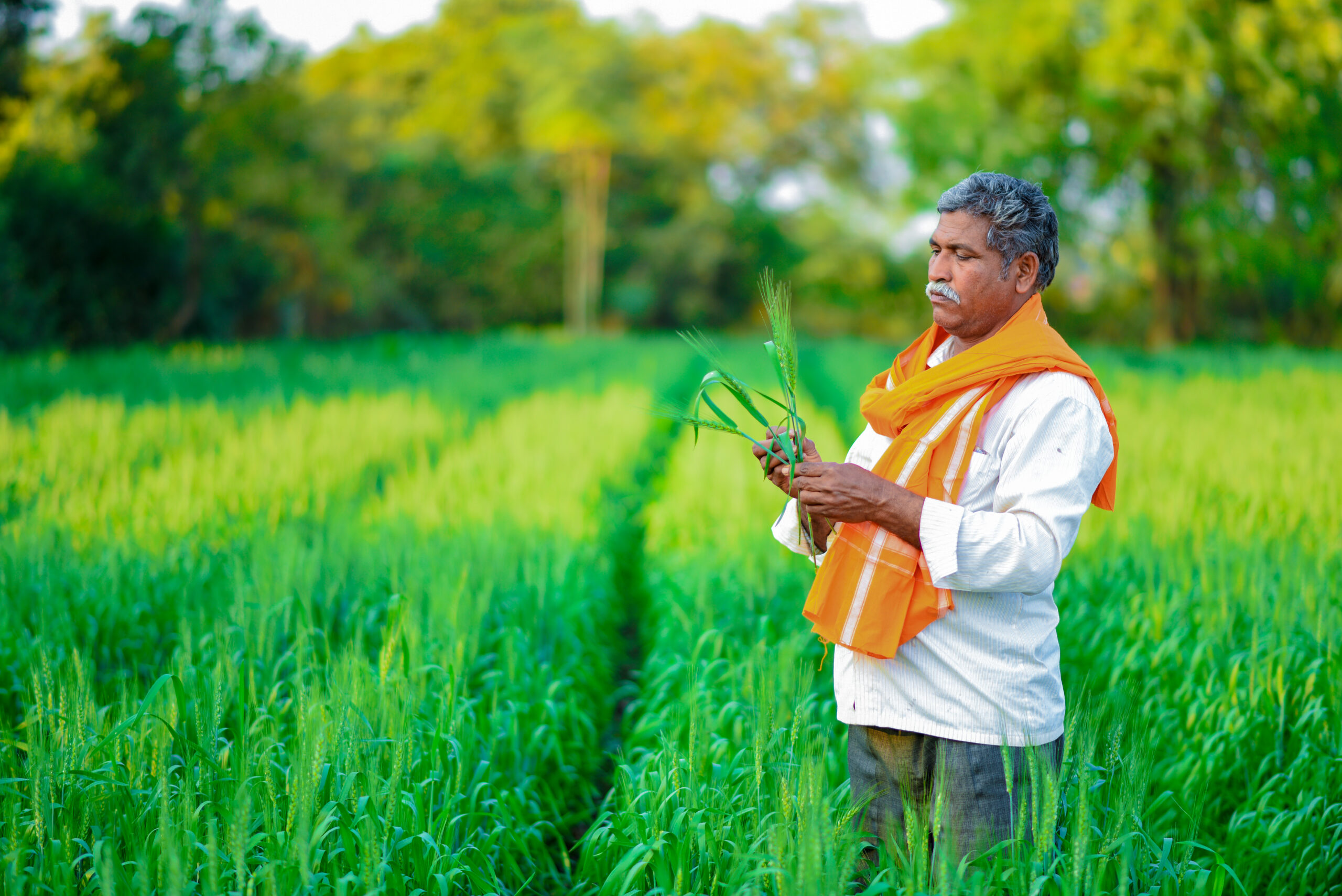 खेती में डिजिटल क्रांति: आर्टिफिशियल इंटेलिजेंस, स्मार्ट मशीनें और एग्रीटेक स्टार्टअप्स से बदलती भारतीय कृषि, किसानों के फैसले बन रहे डेटा आधारित और मुनाफा हो रहा दोगुना